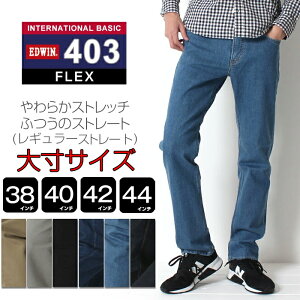 y吡TCYz EDWIN E403F INTERNATIONAL BASIC E403F GhEB C^[iVix[VbN Y fj W[Y ӂ̃Xg[g Xgb` J[pc 傫  傫TCY a