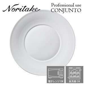 m^P v[X CONJUNTO RWg 28cmN[vv[g Noritake Ɩp H M 2ő