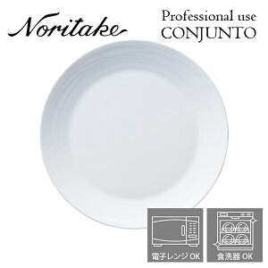 m^P v[X conjunto RWg 27cmv[g Noritake Ɩp H M 2ő