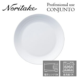 m^P v[X CONJUNTO RWg 24.5cmv[g Noritake Ɩp H M 2ő