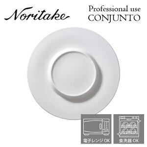 yVLO܁I o m^P v[X CONJUNTO RWg 28cmv[g iXe[Wv[gj Noritake Ɩp H M