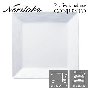 m^P v[X CONJUNTO RWg 22.5cmXNGAv[g Noritake Ɩp H pM 2ő