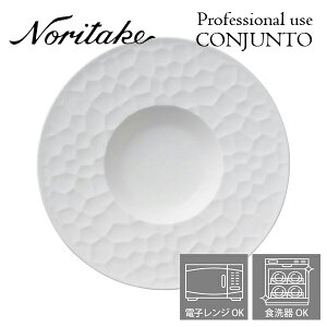 m^P v[X CONJUNTO RWg 28cmfB[vv[g Noritake Ɩp H M 2ő