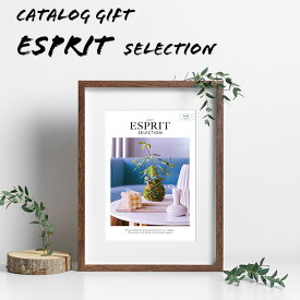 送料込 カタログギフト エスプリ 3400円コース ピュア ハーモニック 〈ES461〉 内祝い 出産祝い お祝い グルメ ブランド 等 豊富な商品数 香典返しにも 初節句 結婚祝い 快気祝い 退職祝い おしゃれ 引き出物 引出物 記念品 法人
