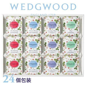 EFbWEbh ChXgx[eB[obOZbg24 qWEWT-24r adelie J[h I gMtg