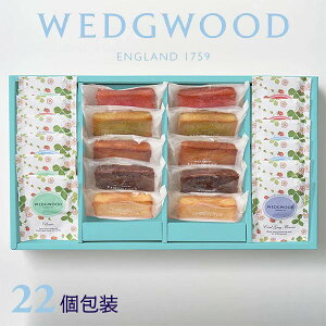 tBiVFEFbWEbh Ch Xgx[eB[obOA\[g 22 qWWK-05Ar adelie J[h I gMtg