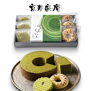 s y FoE x qKZA-02Ar adelie J[hI\  XC[c Mtg َq܂