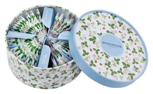 EFbWEbh ChXgx[eB[obO qWSN-36Pr