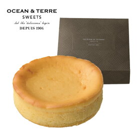 OCEAN＆TERRE オーシャンテール スイーツ 濃厚チーズケーキ 手土産 スイーツ ギフト 初節句 父の日