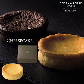 濃厚チーズケーキ 〈AS118〉 オーシャンテール スイーツ OCEAN＆TERRE SWEETS スイーツ ギフト