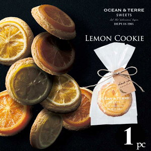 NbL[ 1 qAS145r I[Ve[ XC[c OCEANTERRE SWEETS XC[c Mtg ܎O Ԃ Ε