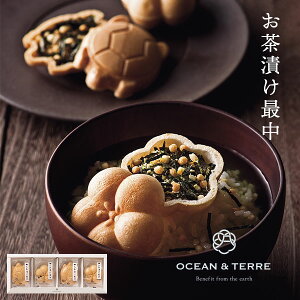 yVLO܁I I[Ve[ ЂŒ Zbg A qA594r Ȃ Ђ 4