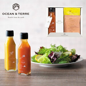 yVLO܁I I[Ve[ kC ؃hbVO Lbg  X[v Zbg qA481r hbVO1{ X[v2