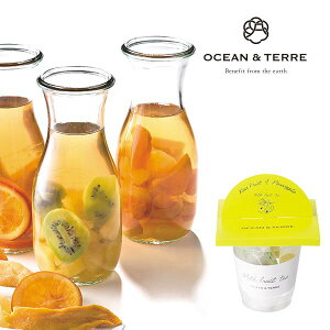 オーシャンテール With フルーツティー キウイ & パイン 1個 〈A514〉 ドライフルーツ ダージリン紅茶ティーバッグ