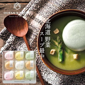 楽天ランキング受賞！ オーシャンテール 北海道 野菜スープMONAKA セット E 〈A528〉 最中 スープ かぼちゃ たまねぎ 男爵いも スイートコーン アスパラ 9個