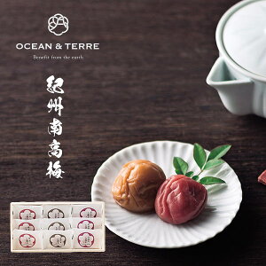 yVLO܁I I[Ve[ Premium IB썂~ 9 ؔ qA381r ~ ܎O Ԃ Ε