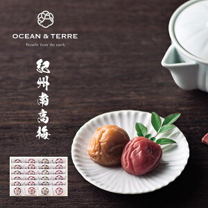 I[Ve[ Premium IB썂~ 24 ؔ qA383r ~ ܎O Ԃ Ε