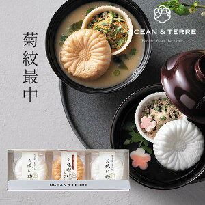 eŒZbgA OTVL8 I[Ve[ OCEANTEREE qA1002r oYj j Vzj Cj Ԃ ei LOi TԂ @ @v  o