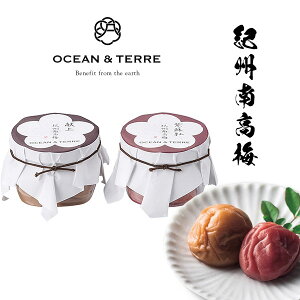 �y�V�����L���O��܁I Premium �I�B�썂�~�Z�b�gA OTVL8 �I�[�V�����e�[�� OCEAN��TEREE �qA202�r �o�Y���j�� �������j�� �V�z���j�� ���C�j�� ���Ԃ� �e�i �L�O�i ���T�Ԃ� �@�� �@�v ���� �����o�� 