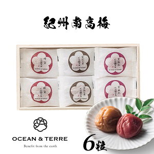 Premium IB썂~ 6 ؔ OTVL8 I[Ve[ OCEANTEREE qA380r oYj j Vzj Cj Ԃ ei LOi TԂ @ @v  o ܎O Ԃ 