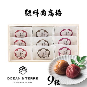 Premium IB썂~ 9 ؔ OTVL8 I[Ve[ OCEANTEREE qA381r oYj j Vzj Cj Ԃ ei LOi TԂ @ @v  o ܎O Ԃ 