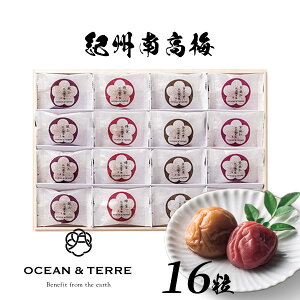 yo׋x~z Premium IB썂~ 16 ؔ OTVL8 I[Ve[ OCEANTEREE qA382r oYj j Vzj Cj Ԃ ei LOi TԂ @ @v  