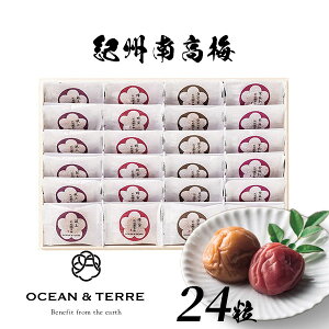 Premium IB썂~ 24 ؔ OTVL8 I[Ve[ OCEANTEREE qA383r oYj j Vzj Cj Ԃ ei LOi TԂ @ @v  o ܎O Ԃ 