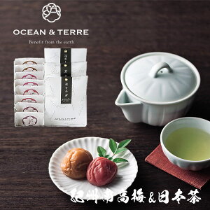 Premium IB썂~{ZbgF OTVL8 I[Ve[ OCEANTEREE qA525r oYj j Vzj Cj Ԃ ei LOi TԂ @ @v  o ފ 