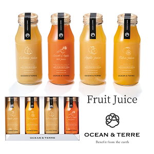 W[XZbgJ OTVL8 I[Ve[ OCEANTEREE qA545r oYj j Vzj Cj Ԃ ei LOi TԂ @ @v  o