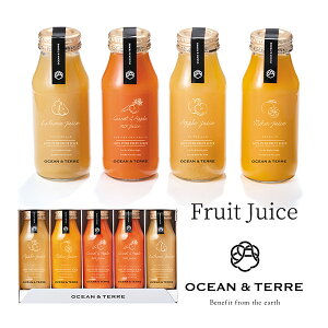 W[XZbgK OTVL8 I[Ve[ OCEANTEREE qA546r oYj j Vzj Cj Ԃ ei LOi TԂ @ @v  o