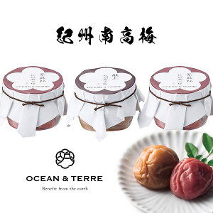 �y�V�����L���O��܁I Premium �I�B�썂�~�Z�b�gD OTVL8 �I�[�V�����e�[�� OCEAN��TEREE �qA582�r �o�Y���j�� �������j�� �V�z���j�� ���C�j�� ���Ԃ� �e�i �L�O�i ���T�Ԃ� �@�� �@�v ���� �����o�� 