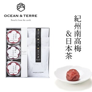 Premium �I�B�썂�~�����{���Z�b�gE OTVL8 �I�[�V�����e�[�� OCEAN��TEREE �qA585�r �o�Y���j�� �������j�� �V�z���j�� ���C�j�� ���Ԃ� �e�i �L�O�i ���T�Ԃ� �@�� �@�v ���� �����o�� ���Ε� ��Ε�