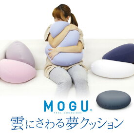 雲にさわる夢クッション 本体(カバー別売) 定番色5色から選べる MOGU モグ ビーズクッション クッション
