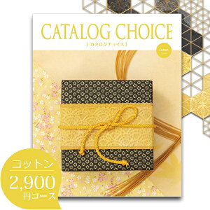 J^OMtg j J^O`CX Rbg 2900~R[X j Ԃ J^O ] 4.7 Iׂ MtgJ^O O oYj j Cj ސEj  