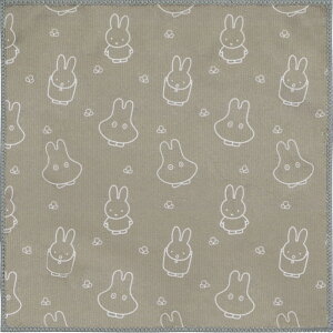 ~btB[}CNt@Co[ӂ ΂ q38102r 䏊pi G