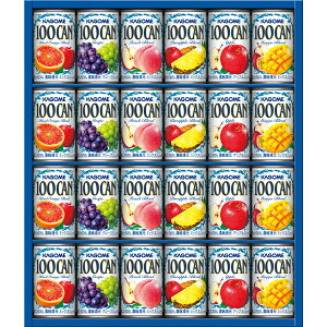 2025 Ε JS 100%t[cW[XMtg (24{) qFB-30Gr Ε  EB^[Mtg gene ̑ j Ԃ ei LOi