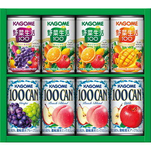 2025 Ε JS ₩t@~[Mtg (8{) qKSR-10Pr Ε  EB^[Mtg gene ̑ j Ԃ ei LOi