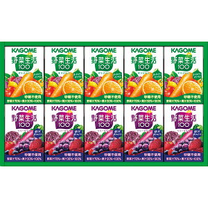 2025 Ε JS e ؈Mtg (10{) qSYJ[10r Ε  EB^[Mtg gene ̑ j Ԃ ei LOi