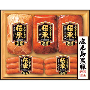 [J[ 2025 Ε ɓn ` ؃Mtg qDB55r Ε  EB^[Mtg