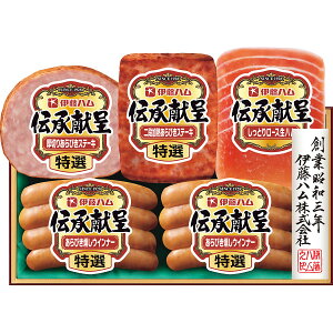 [J[ 2025 Ε ɓn `Mtg qTO-36Vr Ε  EB^[Mtg