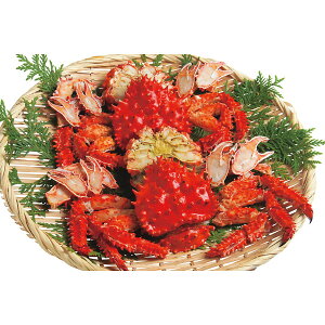 [J[ 2025 Ε kCY ԍ炪ɂ̃{CJbg (2t) Ε  EB^[Mtg