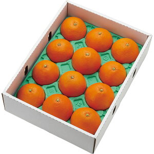 [J[ 2025 Ε QY g܂ǂ Gi (3kg) Ε  EB^[Mtg