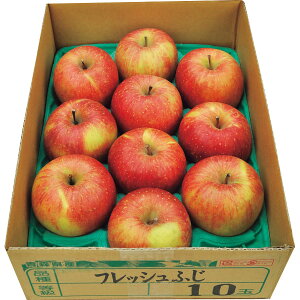 メーカー直送 2025 お歳暮 青森県産 葉とらずサンふじ (2.8kg) 御歳暮 寒中見舞 ウィンターギフト