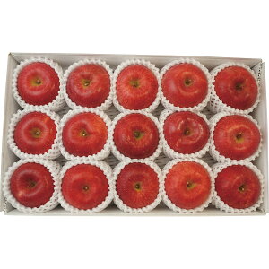 メーカー直送 2025 お歳暮 長野県産 サンふじりんご (3.4kg) 御歳暮 寒中見舞 ウィンターギフト