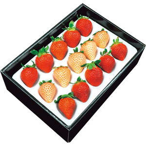 メーカー直送 2025 お歳暮 紅白いちご (計250g) 御歳暮 寒中見舞 ウィンターギフト