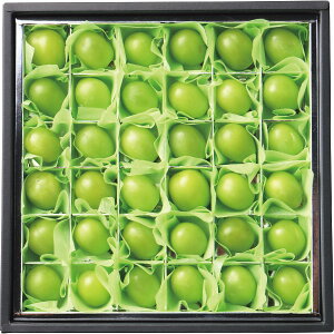 メーカー直送 2025 お歳暮 シャインマスカット詰合せ (36粒) 御歳暮 寒中見舞 ウィンターギフト