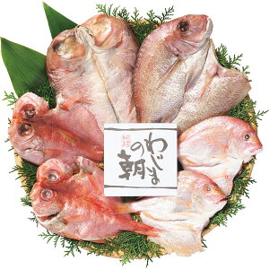 [J[ 2025 Ε ÂZbg Ε  EB^[Mtg