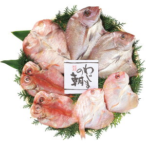 [J[ 2025 Ε ÂZbg Ε  EB^[Mtg