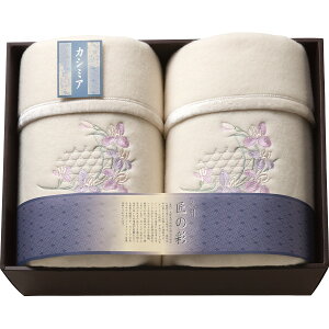 B̍ JV~E[Ȗѕz(щH)2Zbg qSHW-30051Cr ѕz