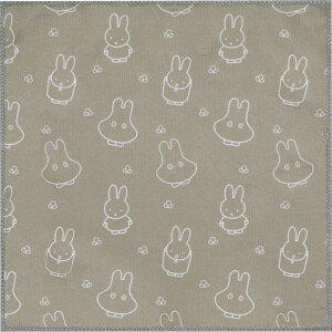 ~btB[}CNt@Co[ӂ ΂ q38102r 䏊G sg25